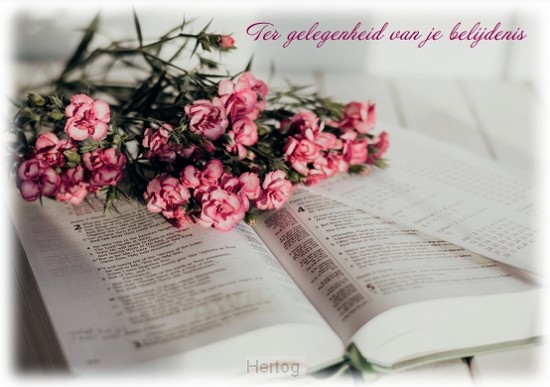 Ter gelegenheid van je belijdenis - wenskaart 