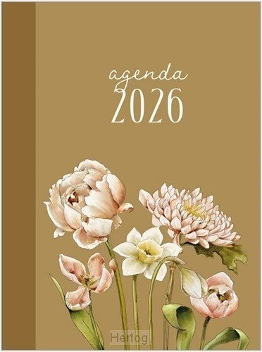 Studio Schilderachtig - agenda 2026