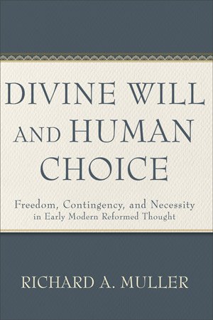 Divine Will and Human Choice